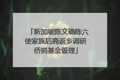 新加坡陈文确陈六使家族后裔返乡调研侨捐基金管理