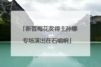 新晋梅花奖得主孙娜专场演出在石唱响