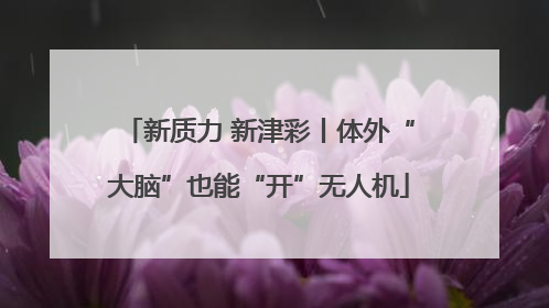 新质力 新津彩丨体外“大脑”也能“开”无人机