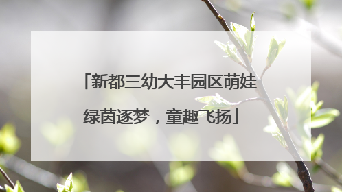 新都三幼大丰园区萌娃绿茵逐梦，童趣飞扬