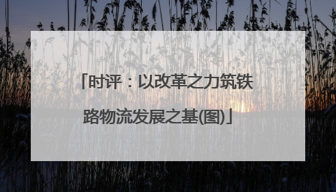 时评：以改革之力筑铁路物流发展之基(图)