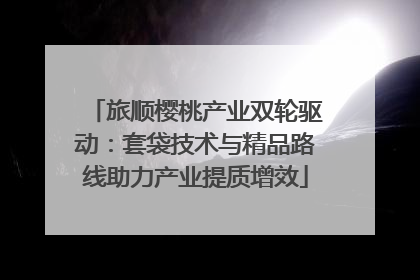 旅顺樱桃产业双轮驱动：套袋技术与精品路线助力产业提质增效