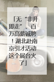 无“非升即走”、百万高薪诚聘！湖北赴南京引才活动这个展台火了