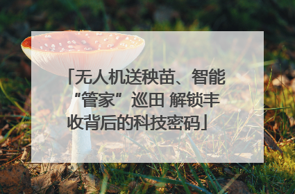 无人机送秧苗、智能“管家”巡田 解锁丰收背后的科技密码