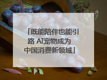 既能陪伴也能引路 AI宠物成为中国消费新领域