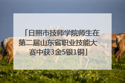 日照市技师学院师生在第二届山东省职业技能大赛中获3金5银1铜