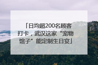 日均超200名顾客打卡，武汉这家“宠物馆子”能定制生日宴