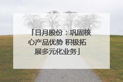 日月股份：巩固核心产品优势 积极拓展多元化业务