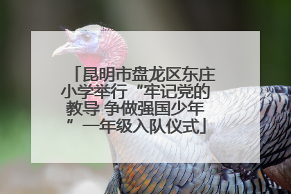 昆明市盘龙区东庄小学举行“牢记党的教导 争做强国少年”一年级入队仪式