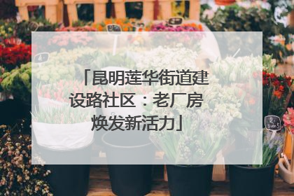 昆明莲华街道建设路社区：老厂房焕发新活力