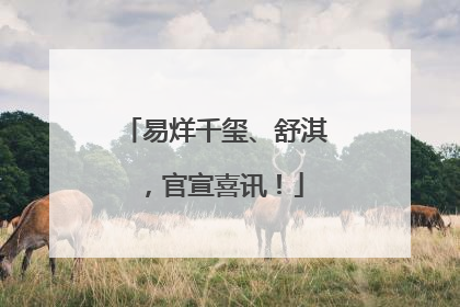 易烊千玺、舒淇，官宣喜讯！