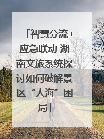 智慧分流+应急联动 湖南文旅系统探讨如何破解景区“人海”困局
