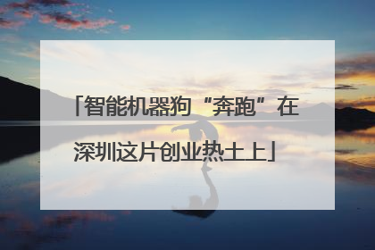 智能机器狗“奔跑”在深圳这片创业热土上