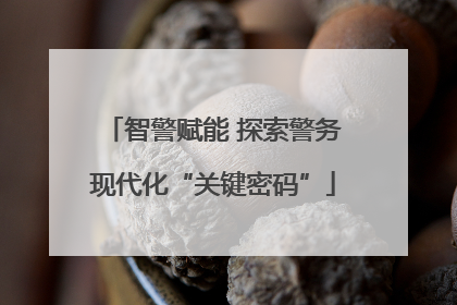 智警赋能 探索警务现代化“关键密码”