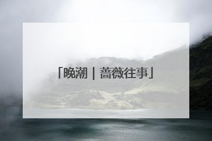 晚潮｜蔷薇往事