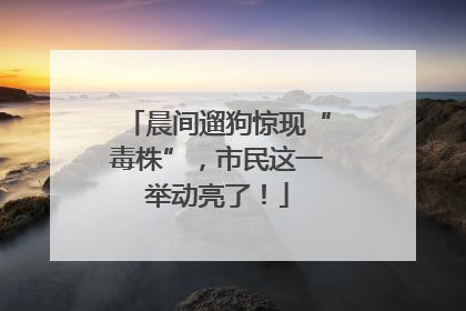 晨间遛狗惊现“毒株”，市民这一举动亮了！