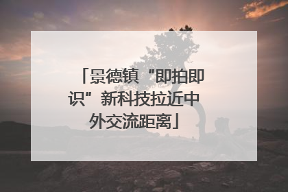 景德镇“即拍即识”新科技拉近中外交流距离
