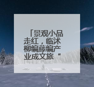 景观小品走红，临沭柳编藤编产业成文旅“新宠”