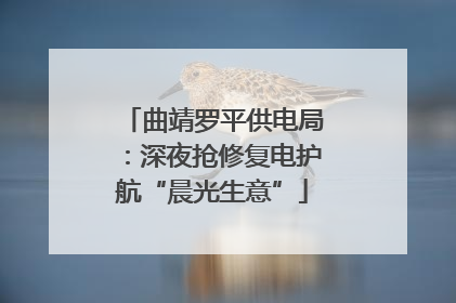 曲靖罗平供电局：深夜抢修复电护航“晨光生意”