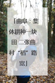 曲阜：集体耕种一块田 二张曲村“稻”路宽