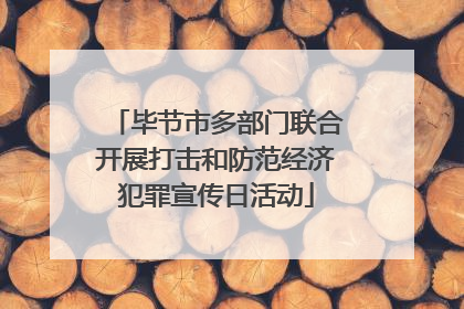 毕节市多部门联合开展打击和防范经济犯罪宣传日活动