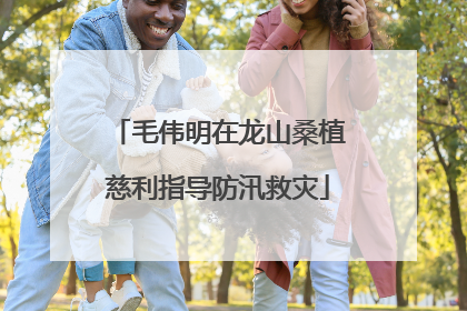 毛伟明在龙山桑植慈利指导防汛救灾
