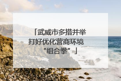 武威市多措并举打好优化营商环境“组合拳”