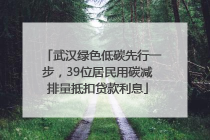 武汉绿色低碳先行一步，39位居民用碳减排量抵扣贷款利息