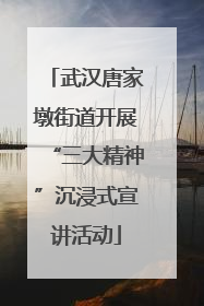 武汉唐家墩街道开展“三大精神”沉浸式宣讲活动