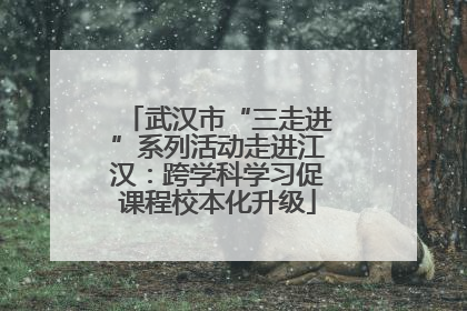 武汉市“三走进”系列活动走进江汉：跨学科学习促课程校本化升级