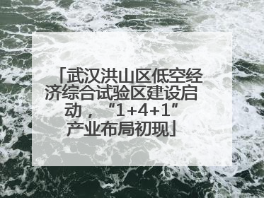 武汉洪山区低空经济综合试验区建设启动，“1+4+1”产业布局初现