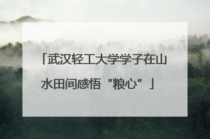 武汉轻工大学学子在山水田间感悟“粮心”