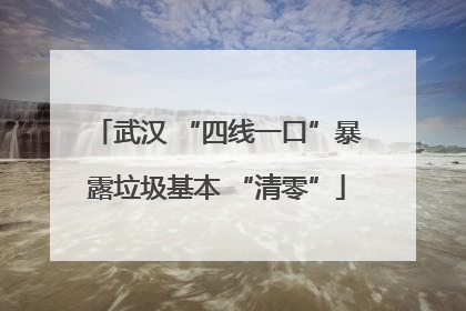 武汉 “四线一口”暴露垃圾基本 “清零”