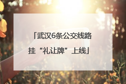武汉6条公交线路挂“礼让牌”上线