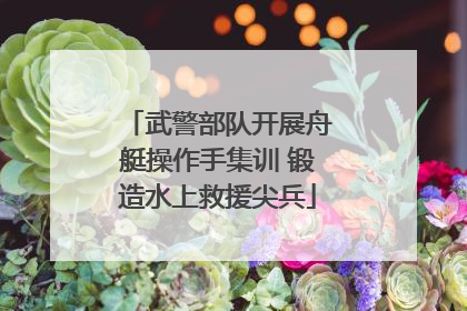 武警部队开展舟艇操作手集训 锻造水上救援尖兵