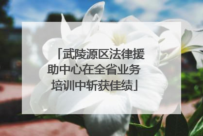 武陵源区法律援助中心在全省业务培训中斩获佳绩