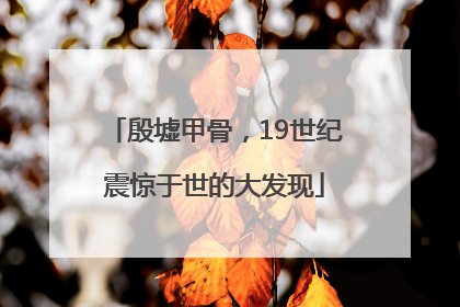 殷墟甲骨，19世纪震惊于世的大发现