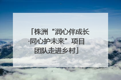 株洲“润心伴成长·同心护未来”项目团队走进乡村