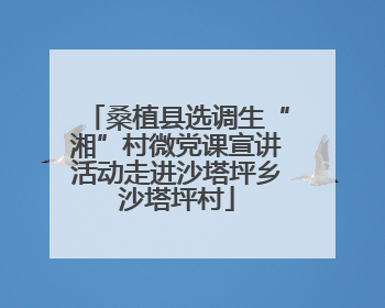 桑植县选调生“湘”村微党课宣讲活动走进沙塔坪乡沙塔坪村
