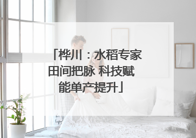 桦川：水稻专家田间把脉 科技赋能单产提升