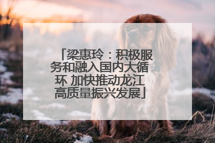 梁惠玲：积极服务和融入国内大循环 加快推动龙江高质量振兴发展