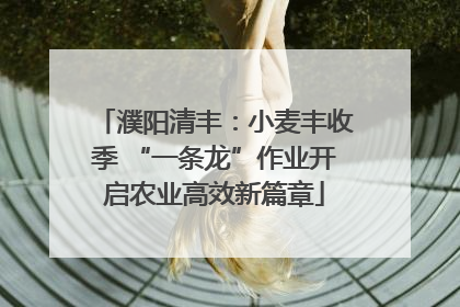濮阳清丰：小麦丰收季 “一条龙”作业开启农业高效新篇章
