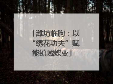 潍坊临朐：以“绣花功夫”赋能镇域蝶变