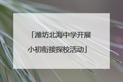 潍坊北海中学开展小初衔接探校活动