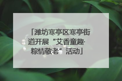 潍坊寒亭区寒亭街道开展“艾香童趣·粽情敬老”活动