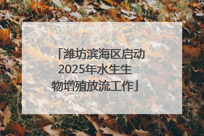 潍坊滨海区启动2025年水生生物增殖放流工作