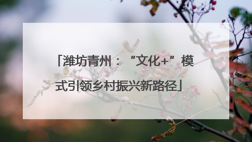 潍坊青州：“文化+”模式引领乡村振兴新路径
