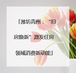 潍坊青州：“旧房焕新”激发住房领域消费新动能