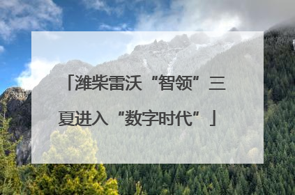 潍柴雷沃“智领”三夏进入“数字时代”