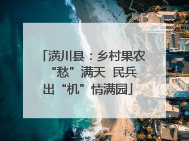 潢川县：乡村果农“愁”满天  民兵出“机”情满园